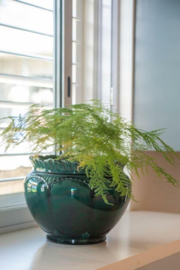 29 Earlibelle Apartment Stellenbosch Ngoại thất bức ảnh